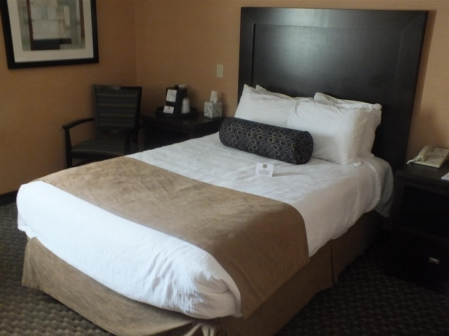 Best Western Plus Dryden Hotel And Conference Centre מראה חיצוני תמונה